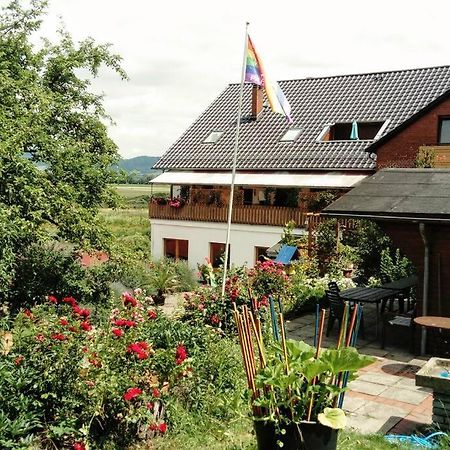 Ferienwohnung Mit Weserblick Und Kamin Hessisch Oldendorf Zewnętrze zdjęcie