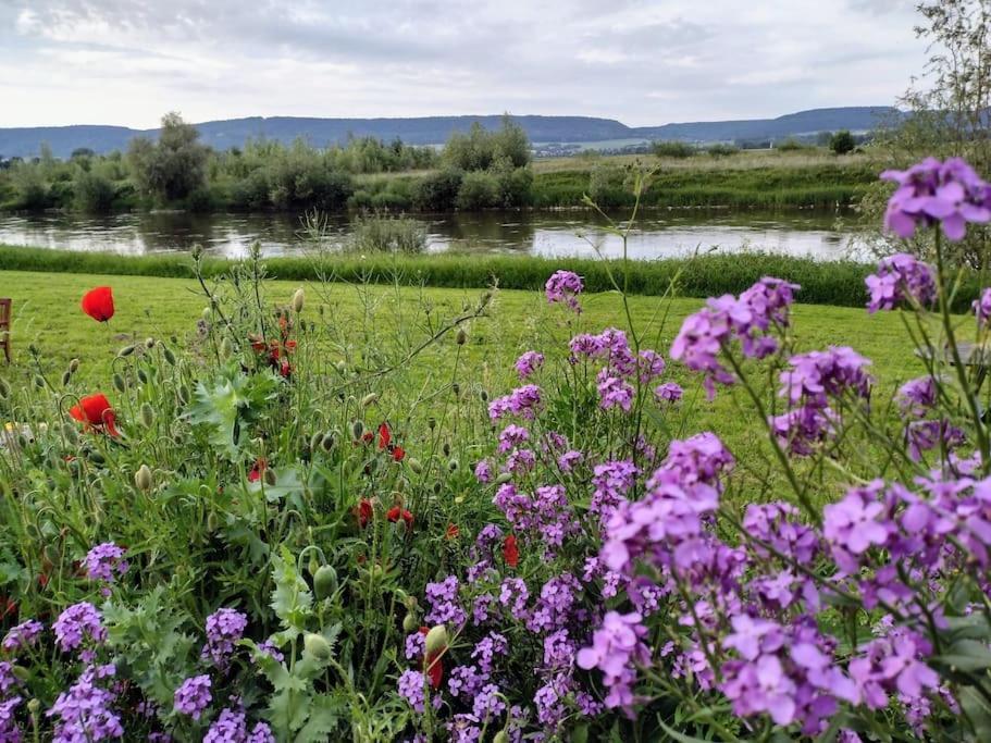 Ferienwohnung Mit Weserblick Und Kamin Hessisch Oldendorf Zewnętrze zdjęcie